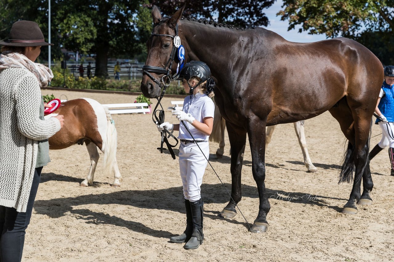 Bild 227 - Pony Akademie Turnier